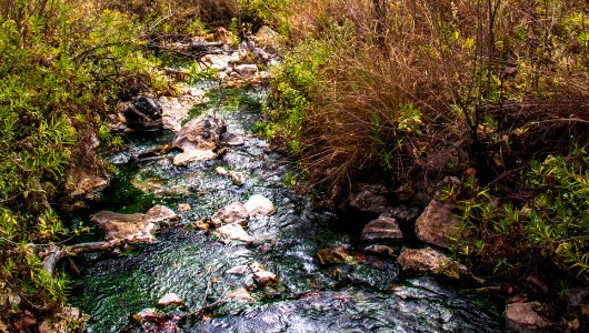 Guadalajara y su bosque de la eterna primavera