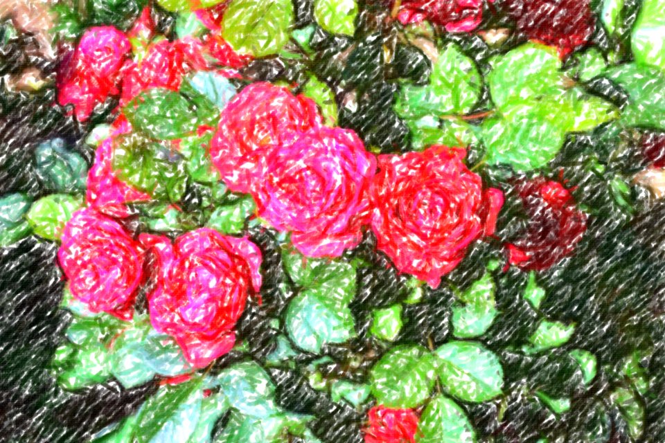 flowers (81)-crayon