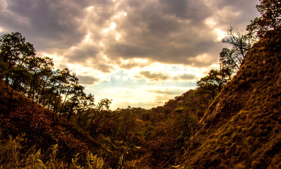 Guadalajara y su bosque de la eterna primavera