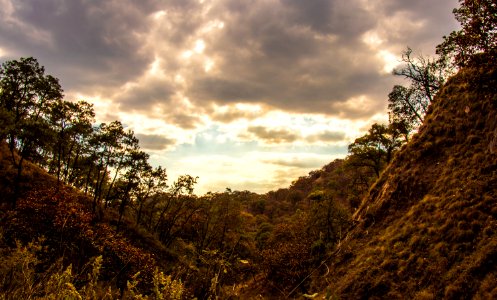 Guadalajara y su bosque de la eterna primavera