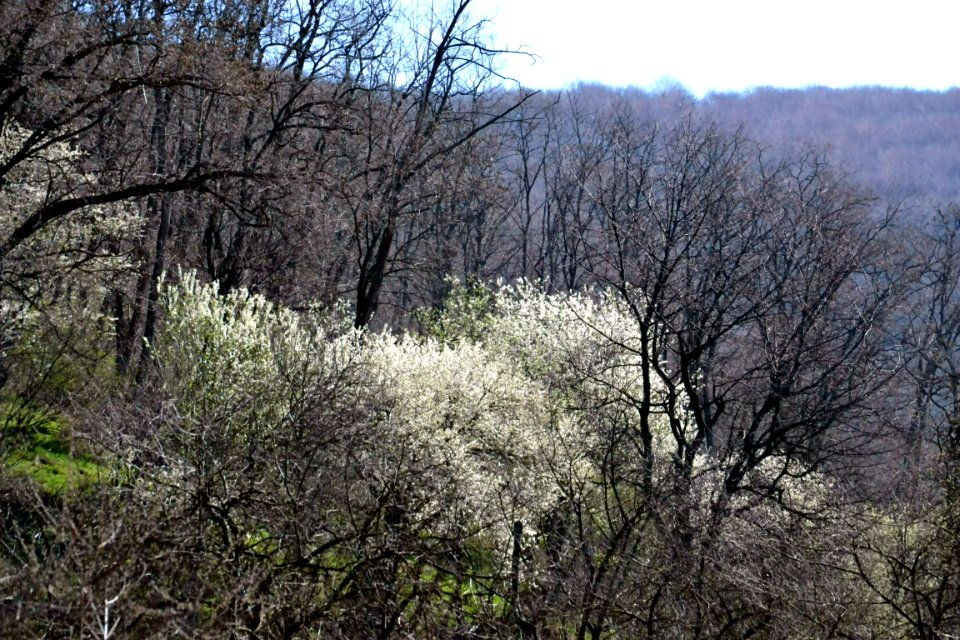 Spring 2014