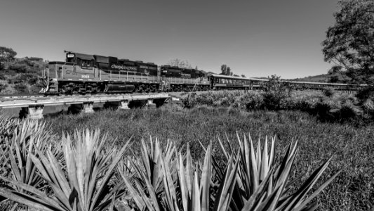 El Arenal, Jalisco