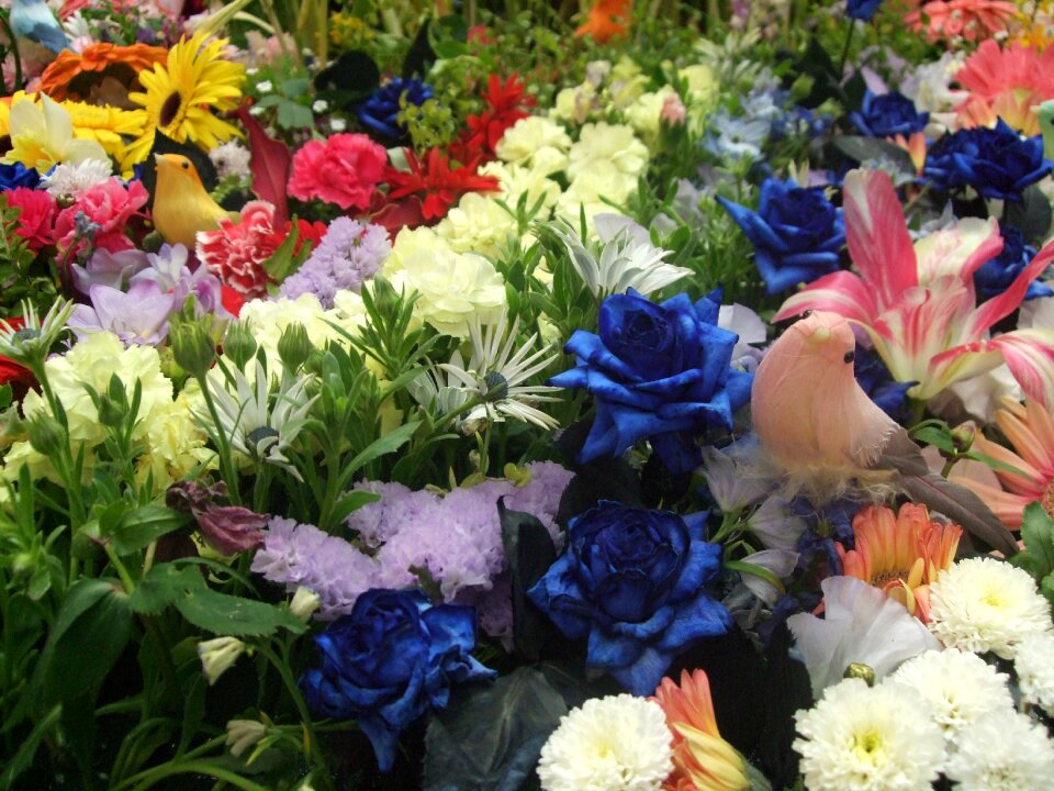 Flower arrangements colorful little bird