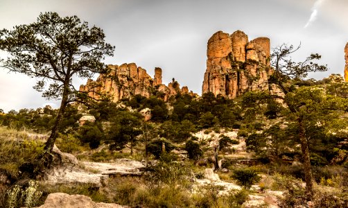 Parque Nacional Sierra de Órganos photo