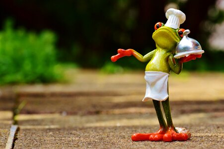 Kitchen gourmet food