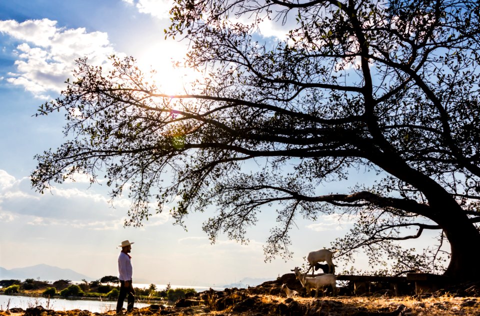 En el lago de Chapala se encuentra esta isla