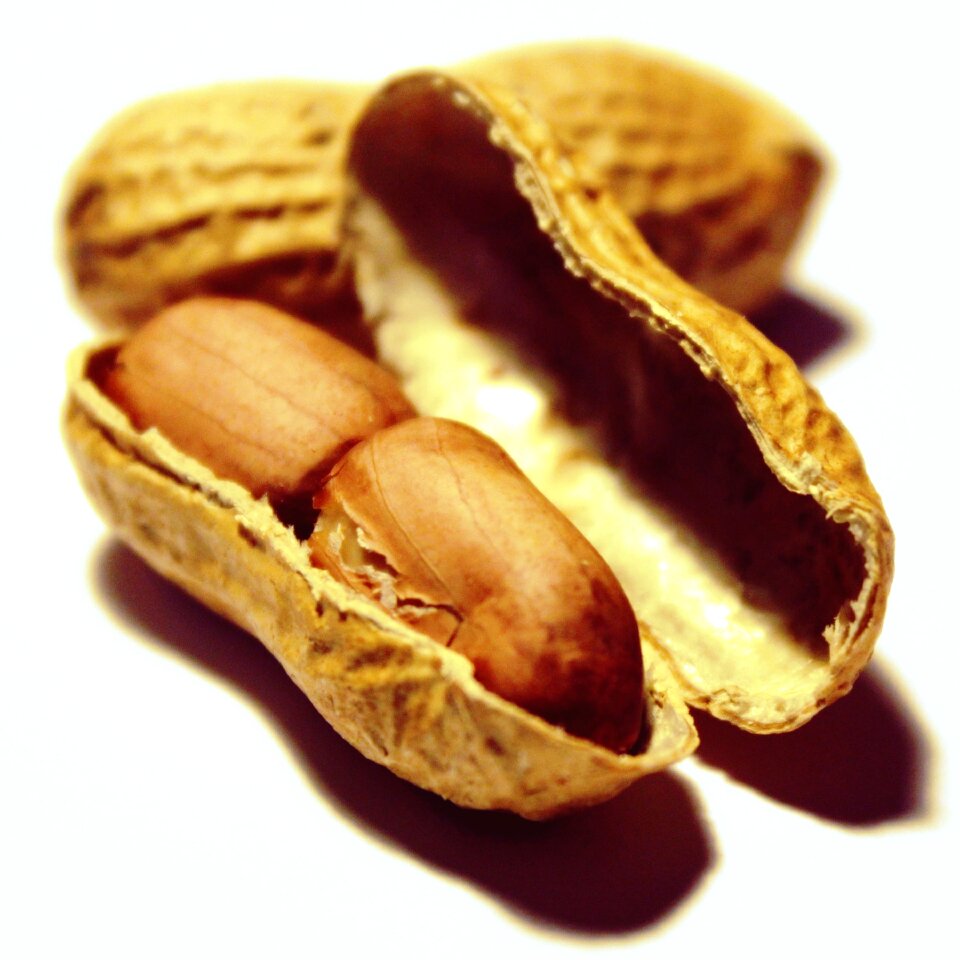 Nutrition healthy nibble