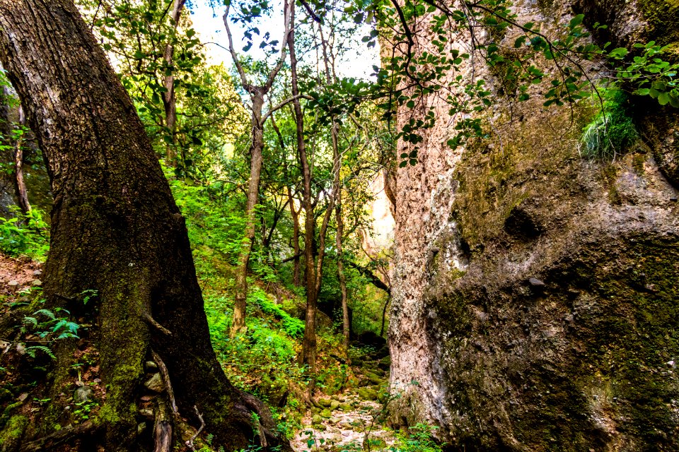 Cañón de Namúrachi