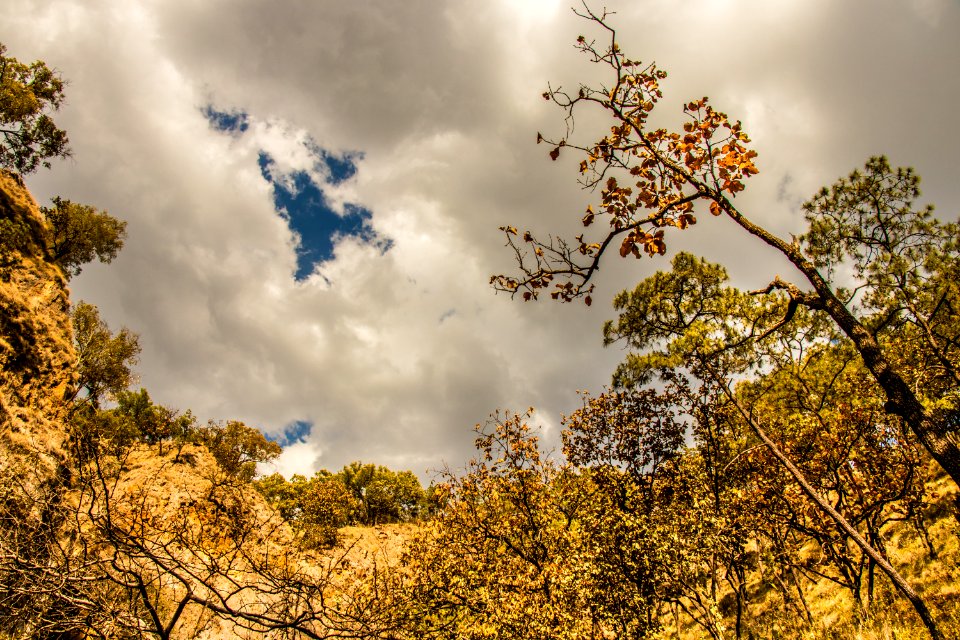 Guadalajara y su bosque de la eterna primavera