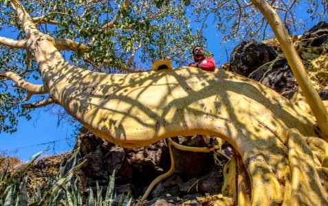 En el lago de Chapala se encuentra esta isla