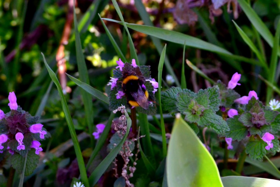 Spring 2014