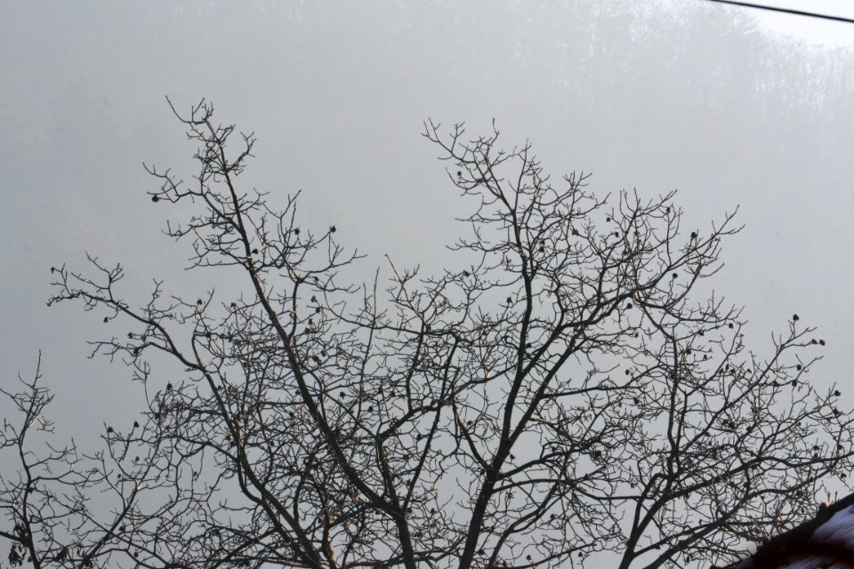 DSC 0176