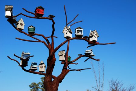 North carolina museum of art blue house