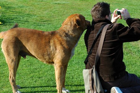Curious istanbul photo