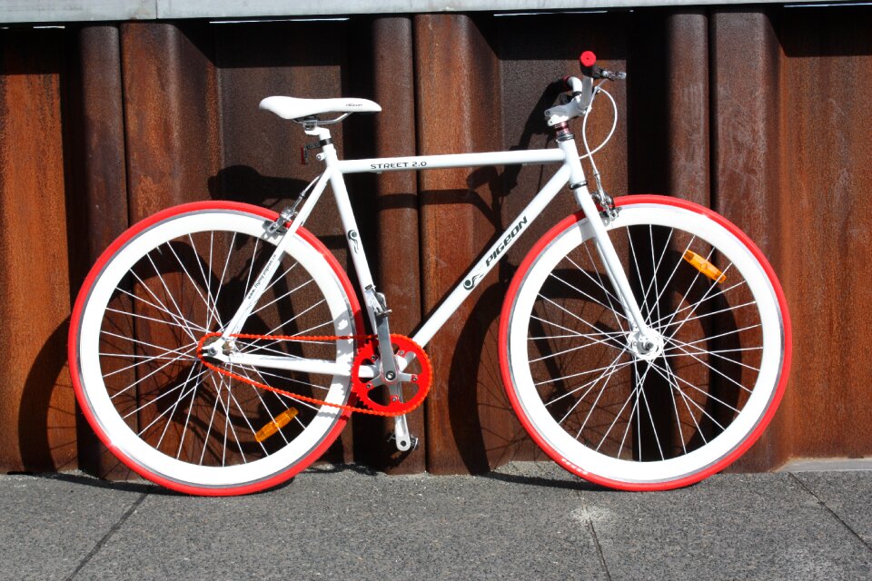 White red design