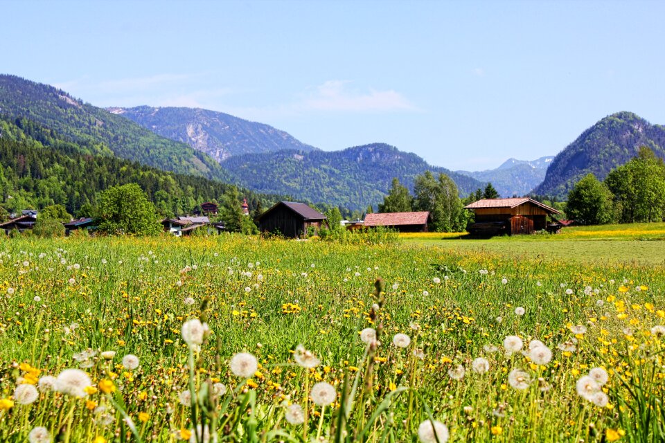 Meadow panorama spring