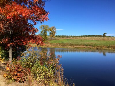 Pond october farm photo