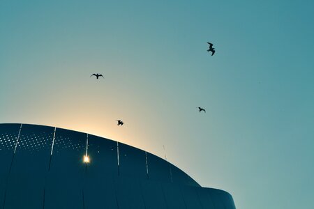 Flying sky silhouette photo