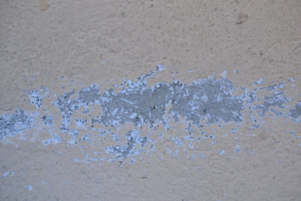 wall