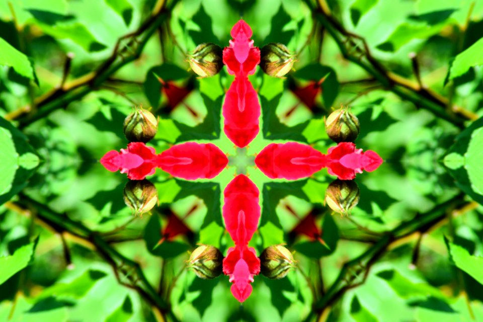 Kaleidoscope photo