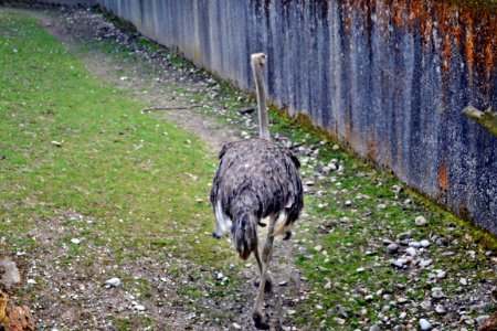 zoological garden