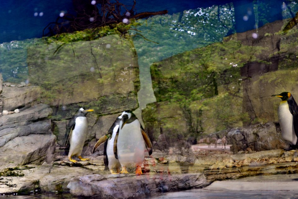 zoological garden