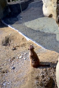 zoological garden