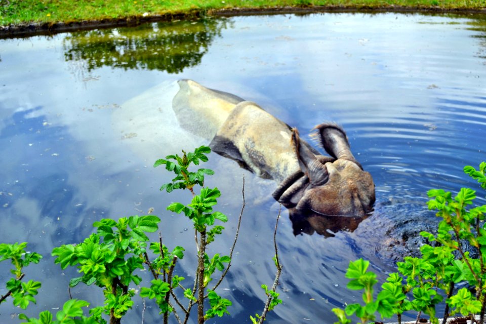 zoological garden