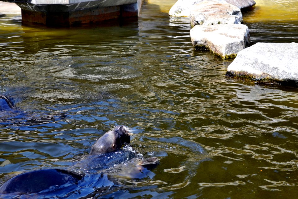 zoological garden