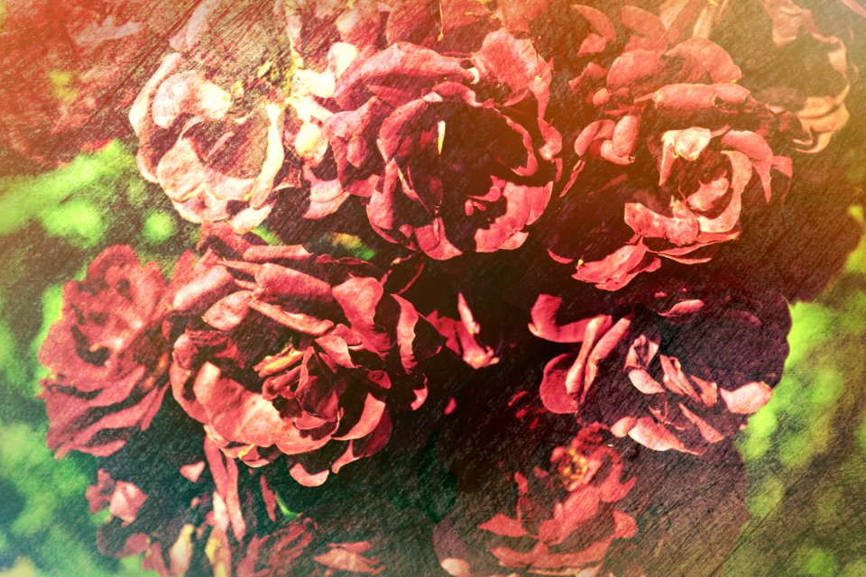 Photos edited
