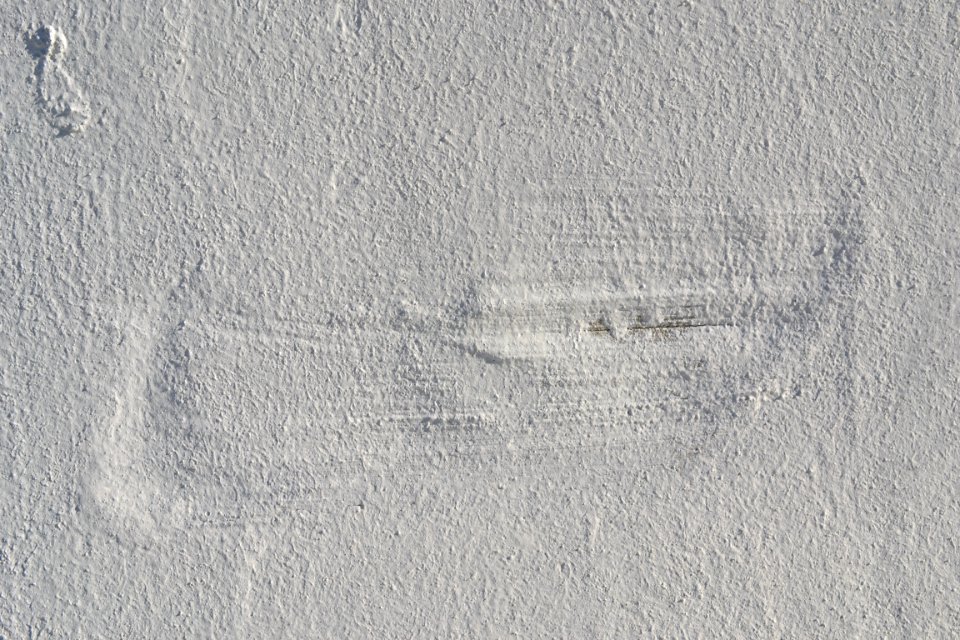 wall