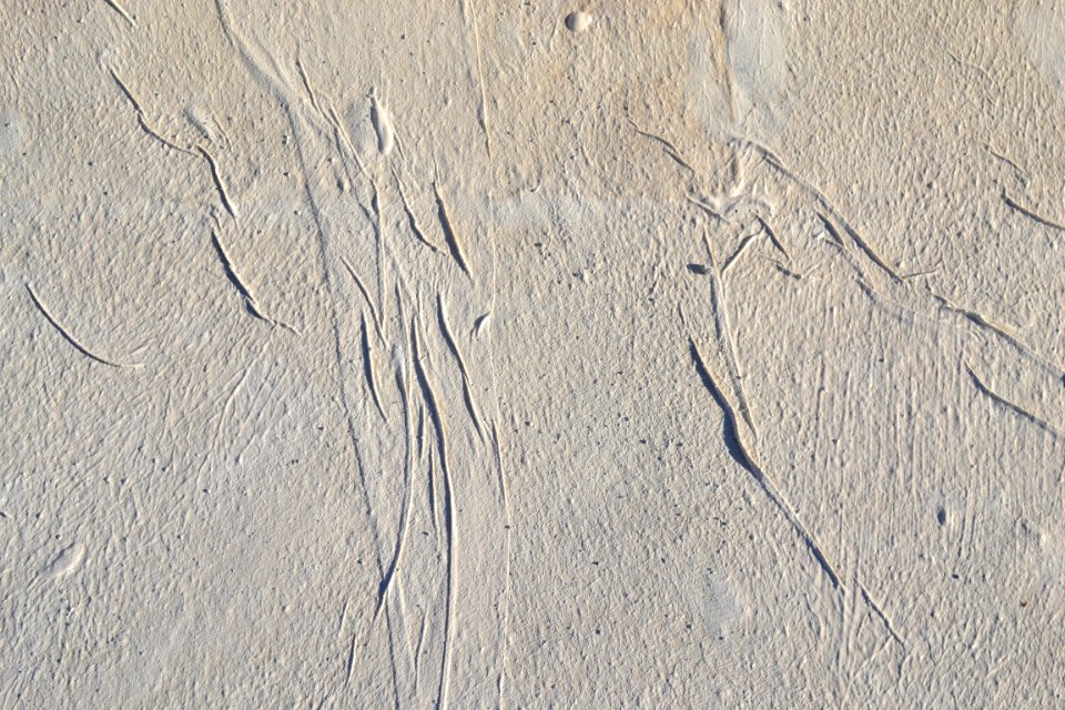 wall