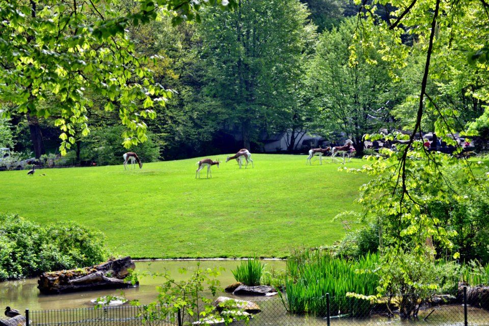 zoological garden
