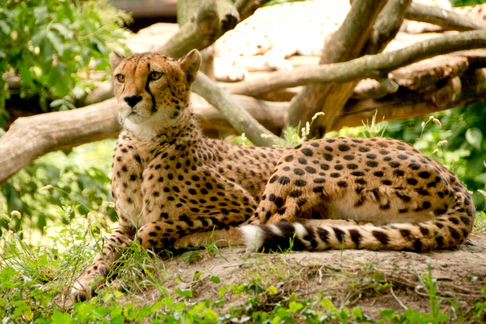 Nature vacations national park