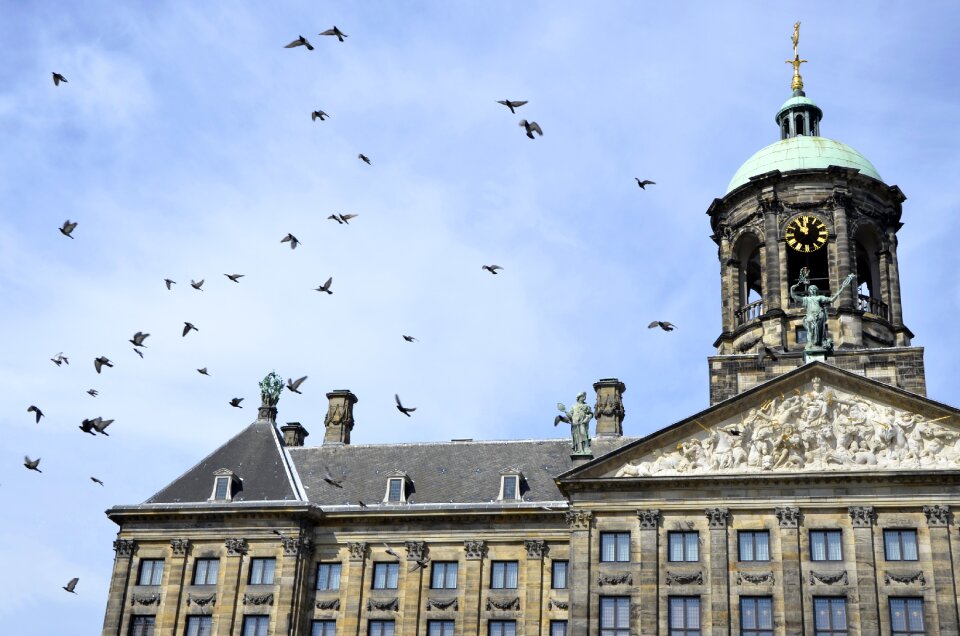 Netherlands views landscape