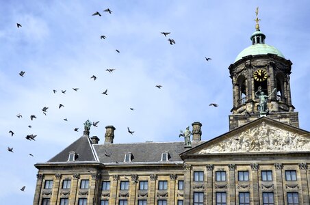 Netherlands views landscape