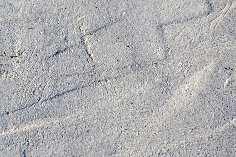 wall