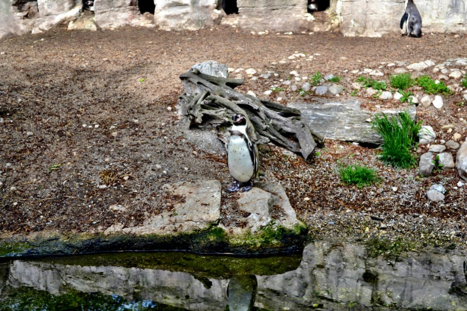 zoological garden
