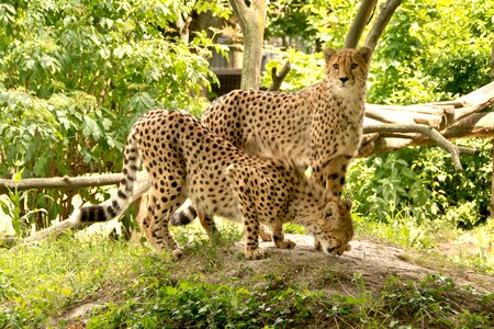 Nature vacations national park