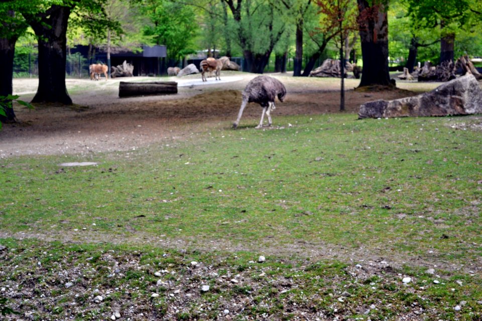 zoological garden