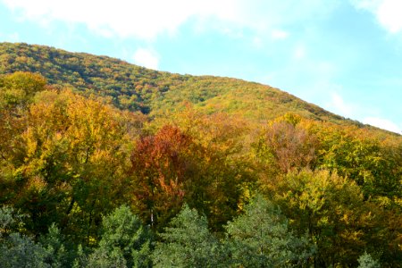 Nature