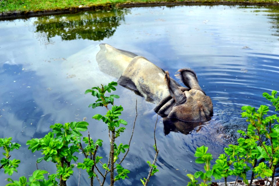 zoological garden