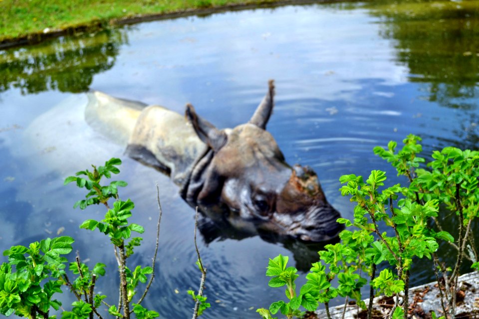 zoological garden