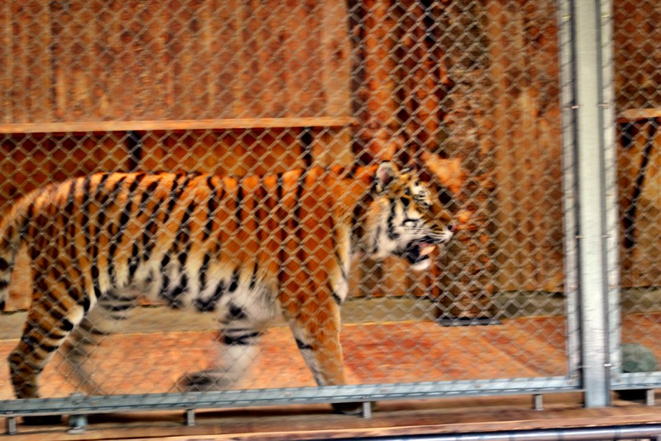 zoological garden