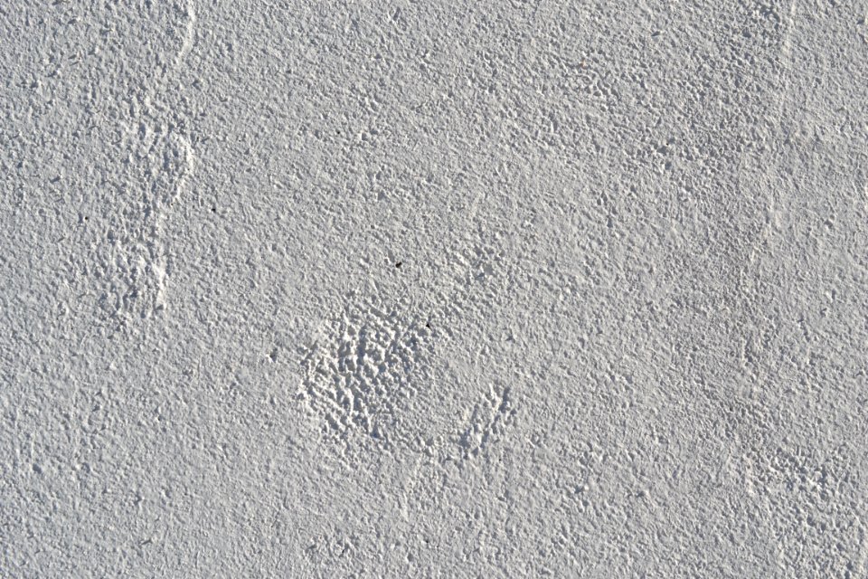 wall