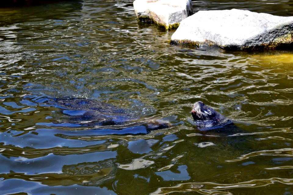 zoological garden