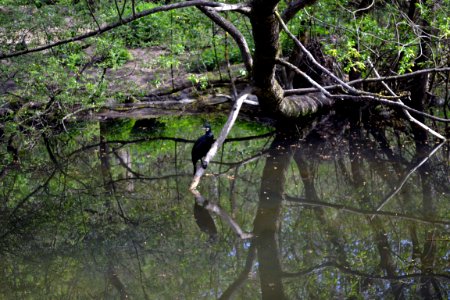 zoological garden