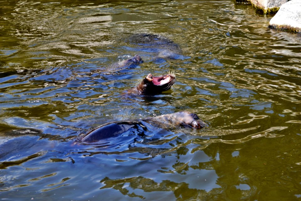 zoological garden