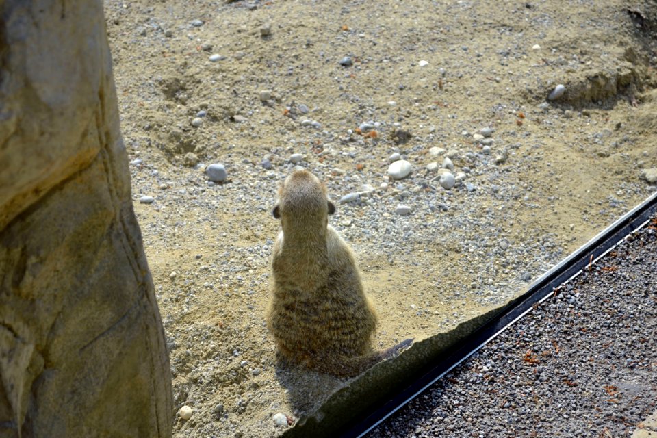 zoological garden