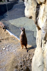 zoological garden